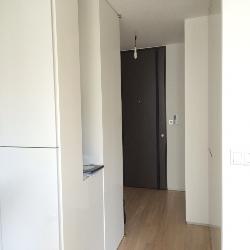 Skysuites@Anson (D2), Condominium #38249242